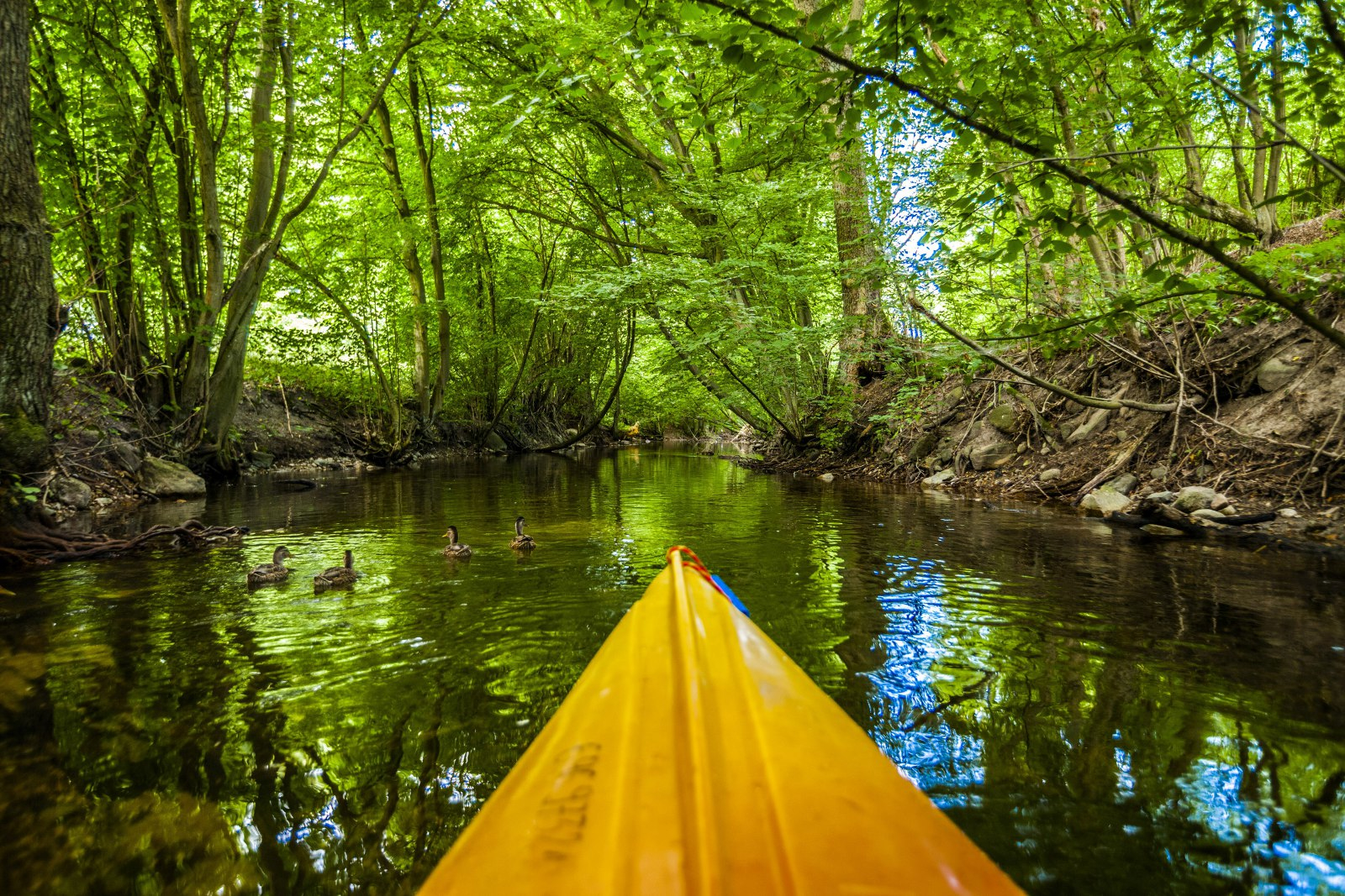 Prestiżowe targi w Berlinie. Pomorze Zachodnie wśród wystawców