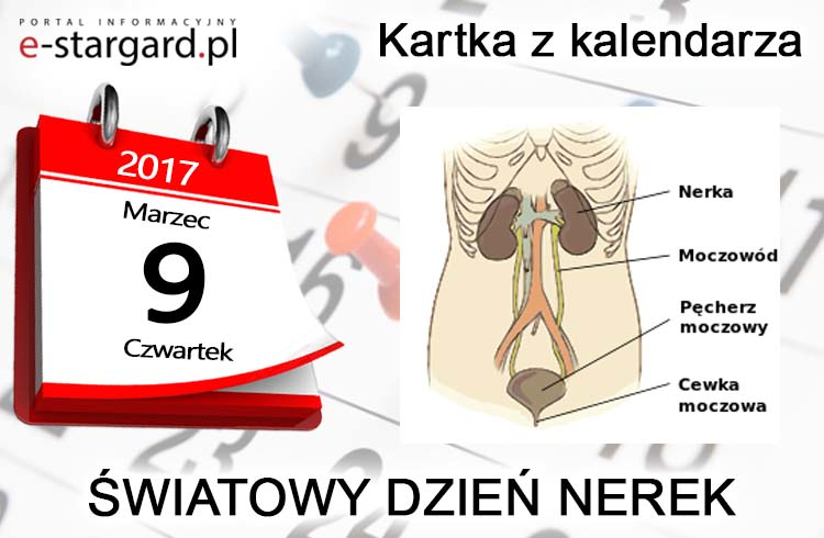 Nefrolodzy i chorzy na nerki apelują: badajcie się! Światowy Dzień Nerek - 9 marca