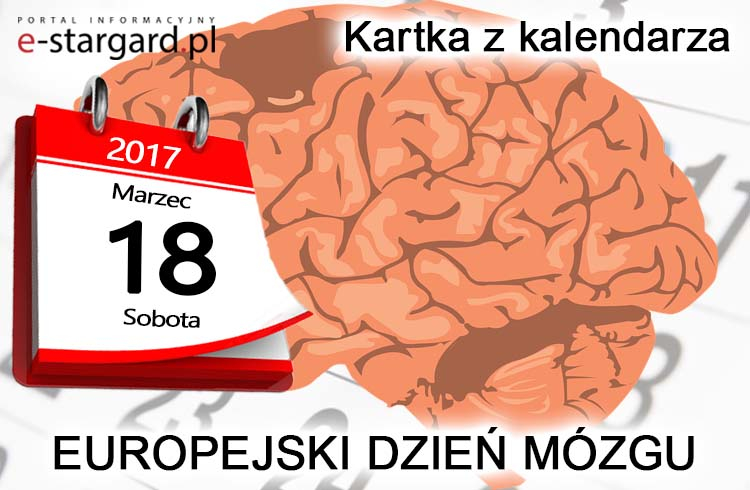 18 marca - Europejski Dzień Mózgu