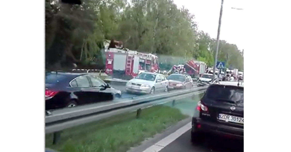 Kolizja 4 pojazdów na drodze w kierunku Szczecina.(VIDEO)