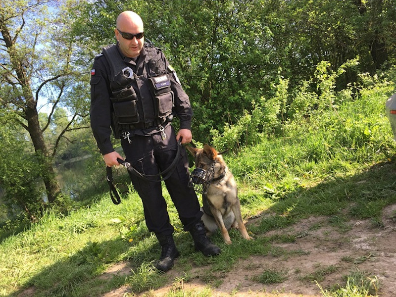 Pies policyjny "Kala" odnalazł 36-letnią kobietę