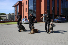 Psi agenci w stargardzkiej policji. [VIDEO].