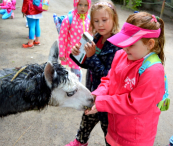 Przedszkolaki i zerówiaki w niemieckim zoo