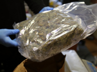 Udaremniono przemyt marihuany o wartości 2,8 miliona złotych