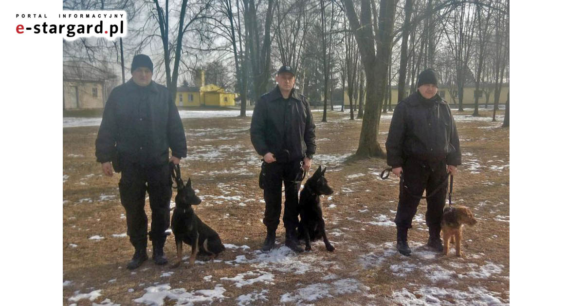 Czworonożni funkcjonariusze będą zwalczać przestępczość narkotykową