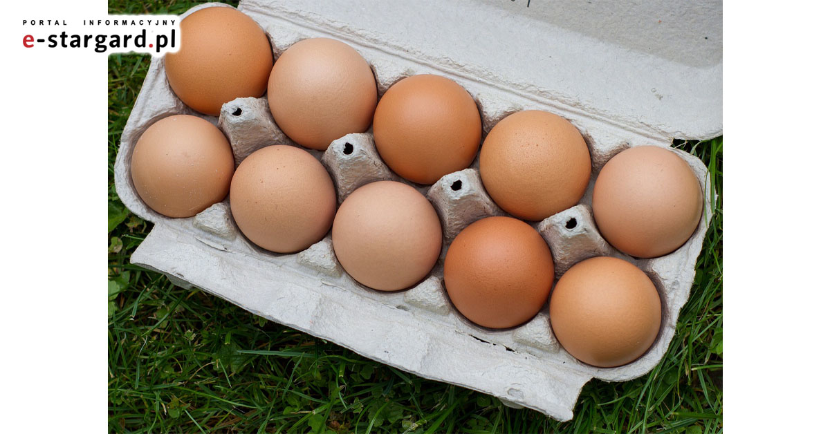 Przed świętami GUS policzył jajka: jemy ich mniej