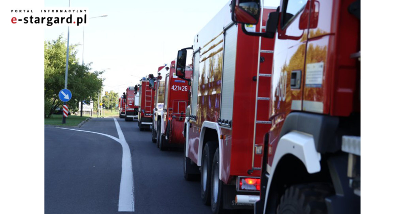 Strażacy ze Stargardu pojechali gasić pożary lasów w Szwecji