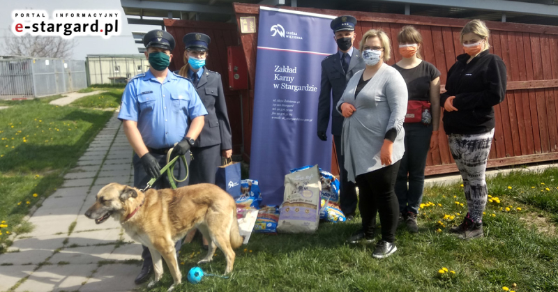 Zakład Karny z pomocą dla schroniska w Kiczarowie