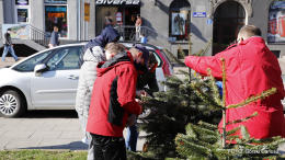 Choinki przy SCK znów przystrojone