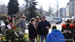 Choinki przy SCK znów przystrojone