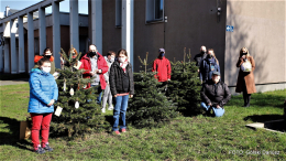 Choinki przy SCK znów przystrojone