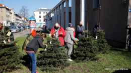 Choinki przy SCK znów przystrojone