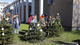 Choinki przy SCK znów przystrojone