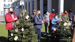 Choinki przy SCK znów przystrojone