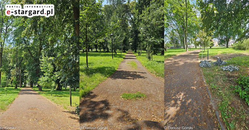 Miasto ma plan na park Batorego, Co powstanie na byłym cmentarzu?