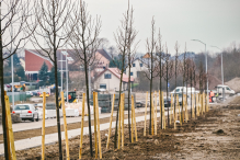 Obwodnica pełna zieleni