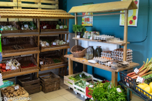 Bazar Stargard: projekt zrodzony z potrzeby serca i przekonania do pewnych wartości