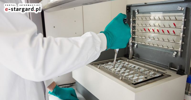 Jak jedno urządzenie w laboratorium decyduje o Twoim leczeniu?