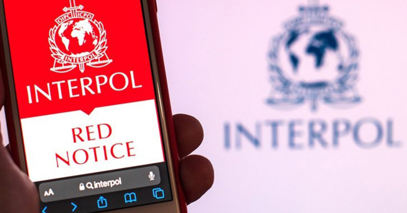 Młodzi policjanci adaptacji zawodowej zatrzymali poszukiwanego czerwoną notą Interpolu