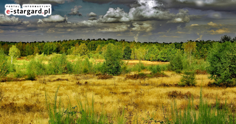 Czy Gmina Ińsko odda ponad 300 hektarów poligonu?