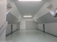 Metamorfoza "Kamczatki"