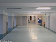 Metamorfoza "Kamczatki"