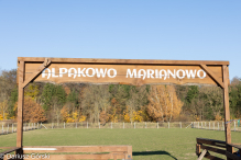 Jesienne klimaty w Alpakowo Marianowo