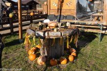 Jesienne klimaty w Alpakowo Marianowo