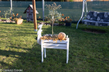 Jesienne klimaty w Alpakowo Marianowo