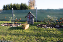 Jesienne klimaty w Alpakowo Marianowo