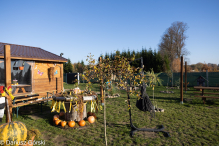 Jesienne klimaty w Alpakowo Marianowo