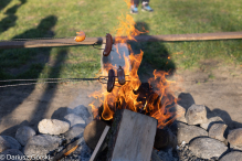 Jesienne klimaty w Alpakowo Marianowo