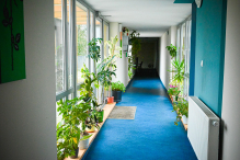 „Nie Sami” na swoim