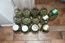 Realizacja stargardzkich kryminalnych i funkcjonariuszy CBŚP- przejęte ponad 4 kg marihuany i zlikwidowana plantacja konopi