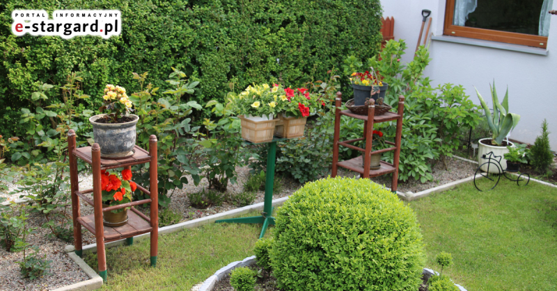 135 tysięcy złotych dla działkowców. Miasto ogłosiło konkurs dla ROD