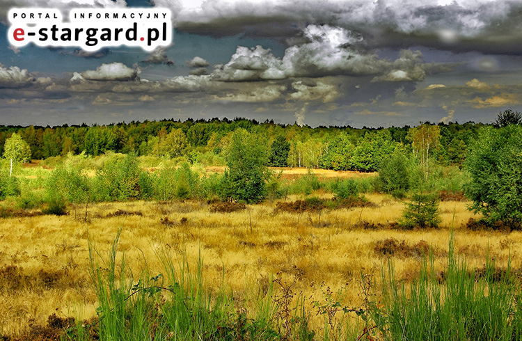 Czy Gmina Ińsko odda ponad 300 hektarów poligonu?