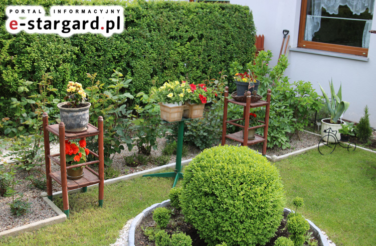 135 tysięcy złotych dla działkowców. Miasto ogłosiło konkurs dla ROD